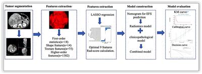 Preoperative Assessment for Event-Free Survival With Hepatoblastoma in Pediatric Patients by Developing a CT-Based Radiomics Model